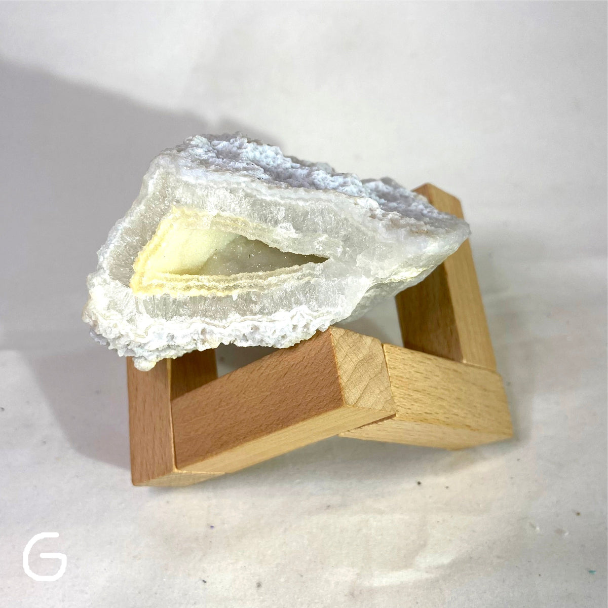 Natural Specimens - Choose Your Own