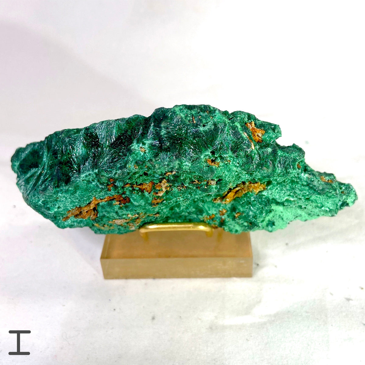 Natural Specimens - Choose Your Own