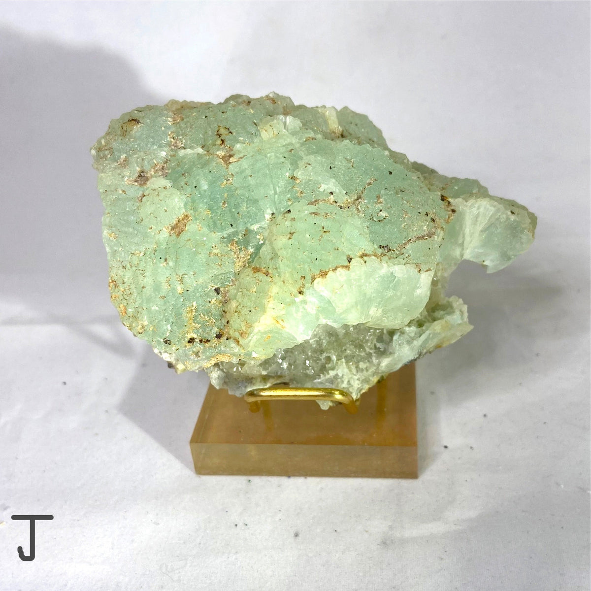 Natural Specimens - Choose Your Own