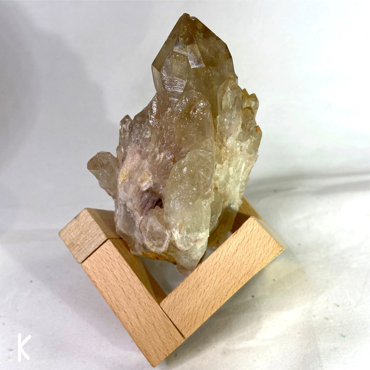 Natural Specimens - Choose Your Own