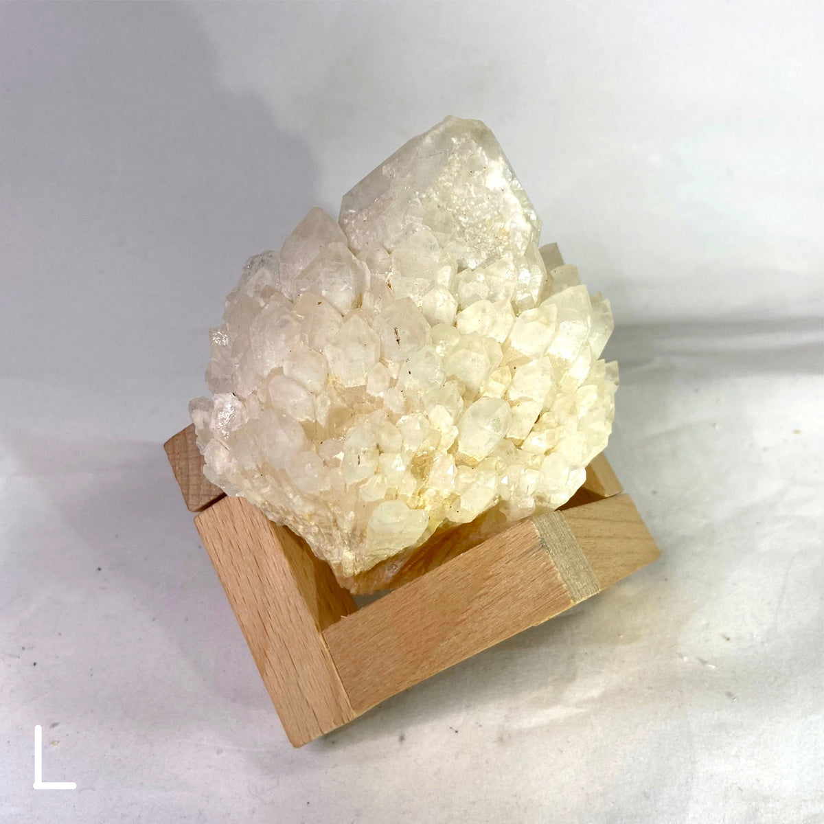 Natural Specimens - Choose Your Own