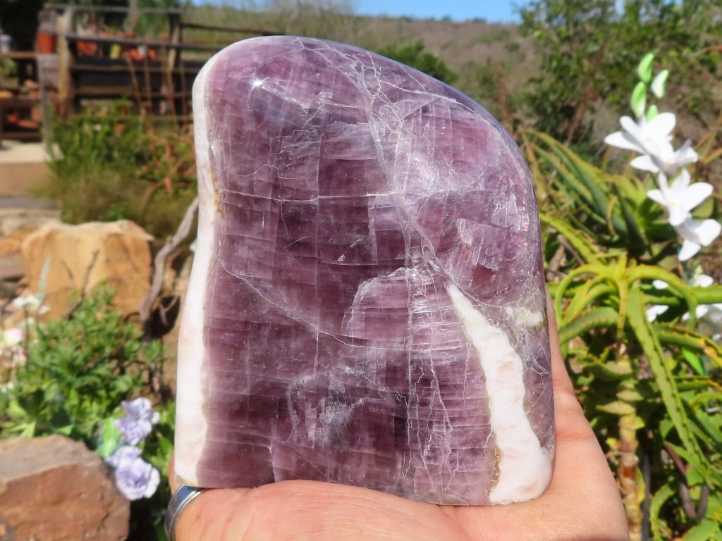 Polished Purple Anhydrite Freeform from Madagascar - Extra Large