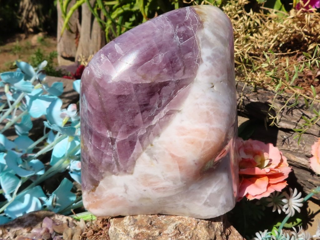 Polished Purple Anhydrite Freeform from Madagascar - Extra Large