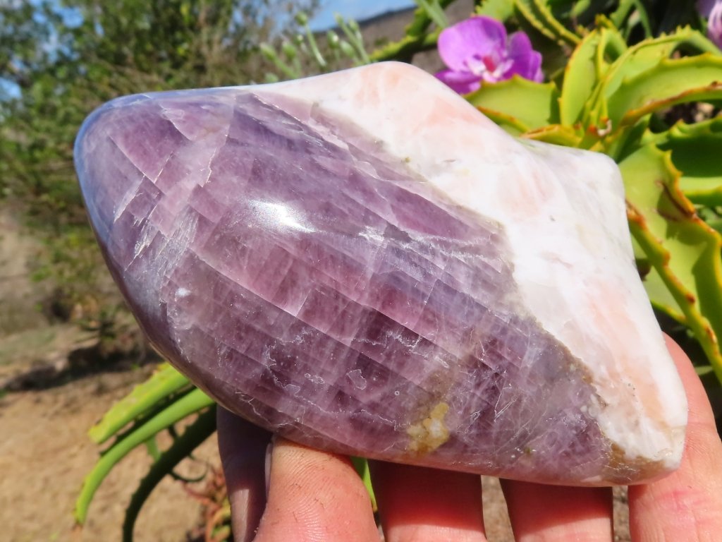 Polished Purple Anhydrite Freeform from Madagascar - Extra Large