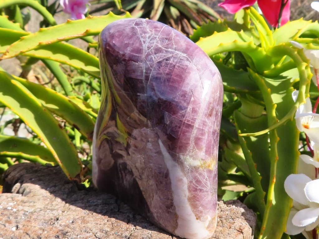 Polished Purple Anhydrite Freeform from Madagascar - Extra Large