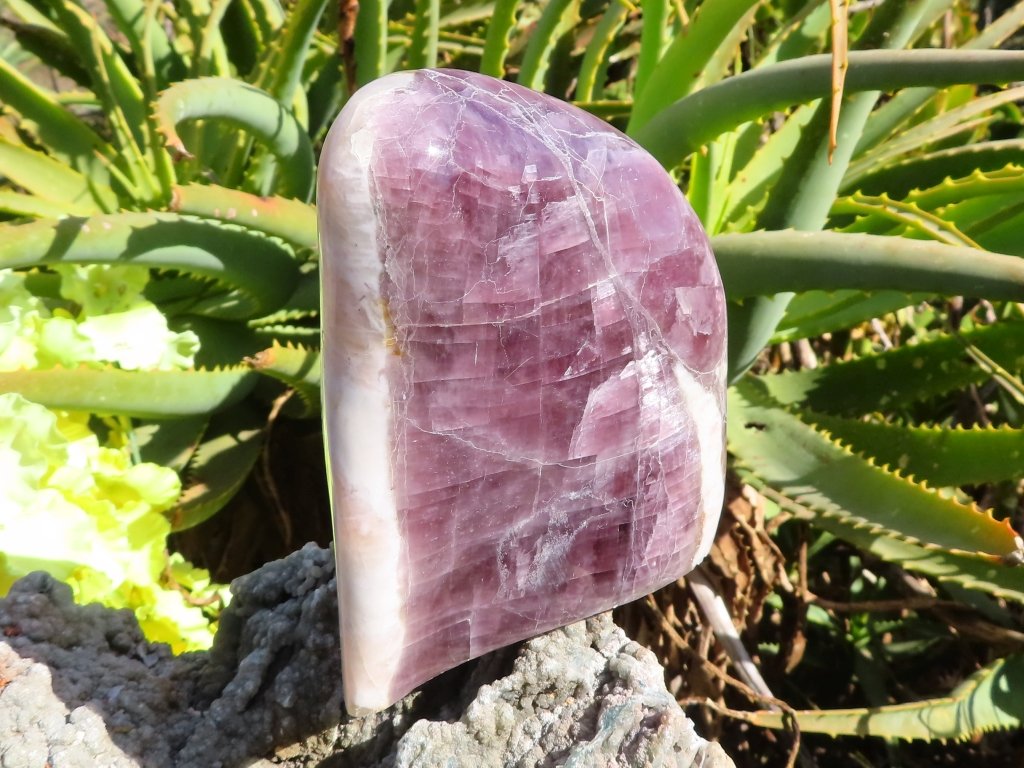 Polished Purple Anhydrite Freeform from Madagascar - Extra Large
