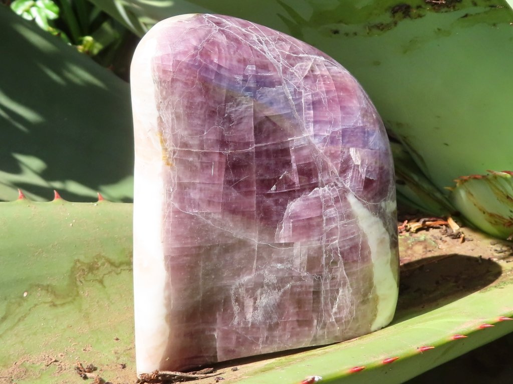 Polished Purple Anhydrite Freeform from Madagascar - Extra Large
