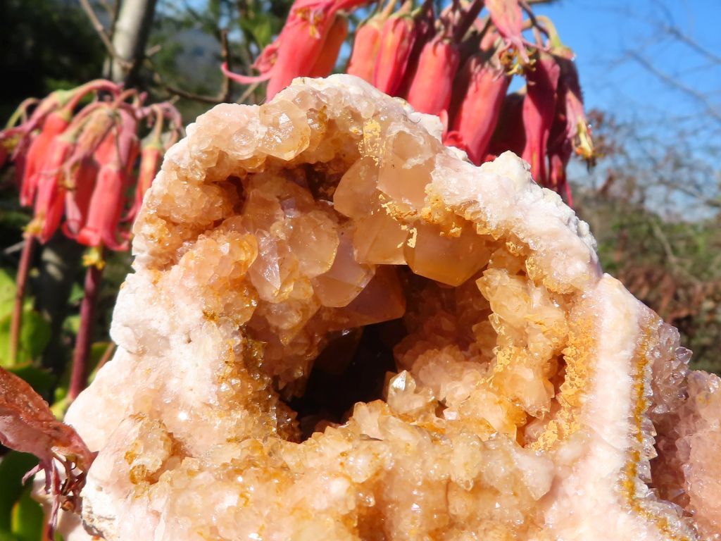 Natural Lemur Island Hematoid Amethyst Crystal Geode from Nosy Varika, Madagascar