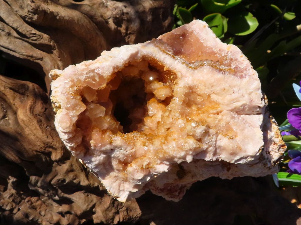 Natural Lemur Island Hematoid Amethyst Crystal Geode from Nosy Varika, Madagascar