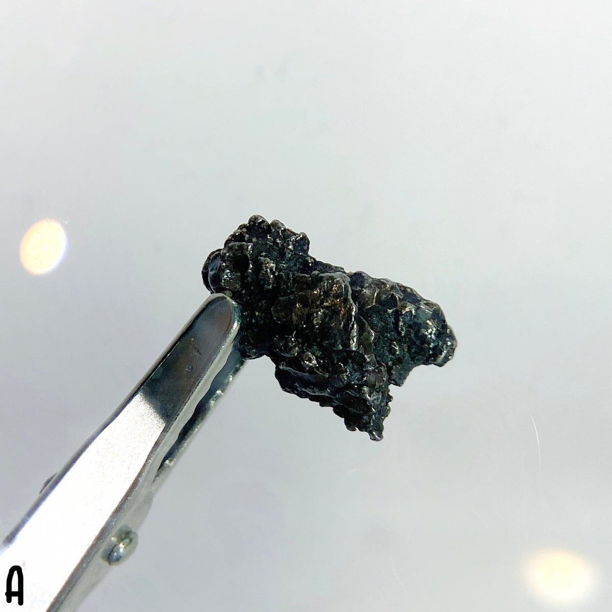 Campo Del Cielo Meteorites - Choose Your Own