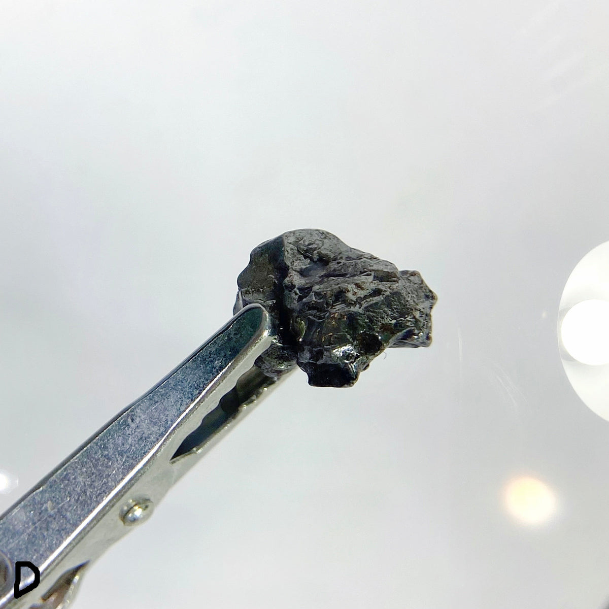 Campo Del Cielo Meteorites - Choose Your Own