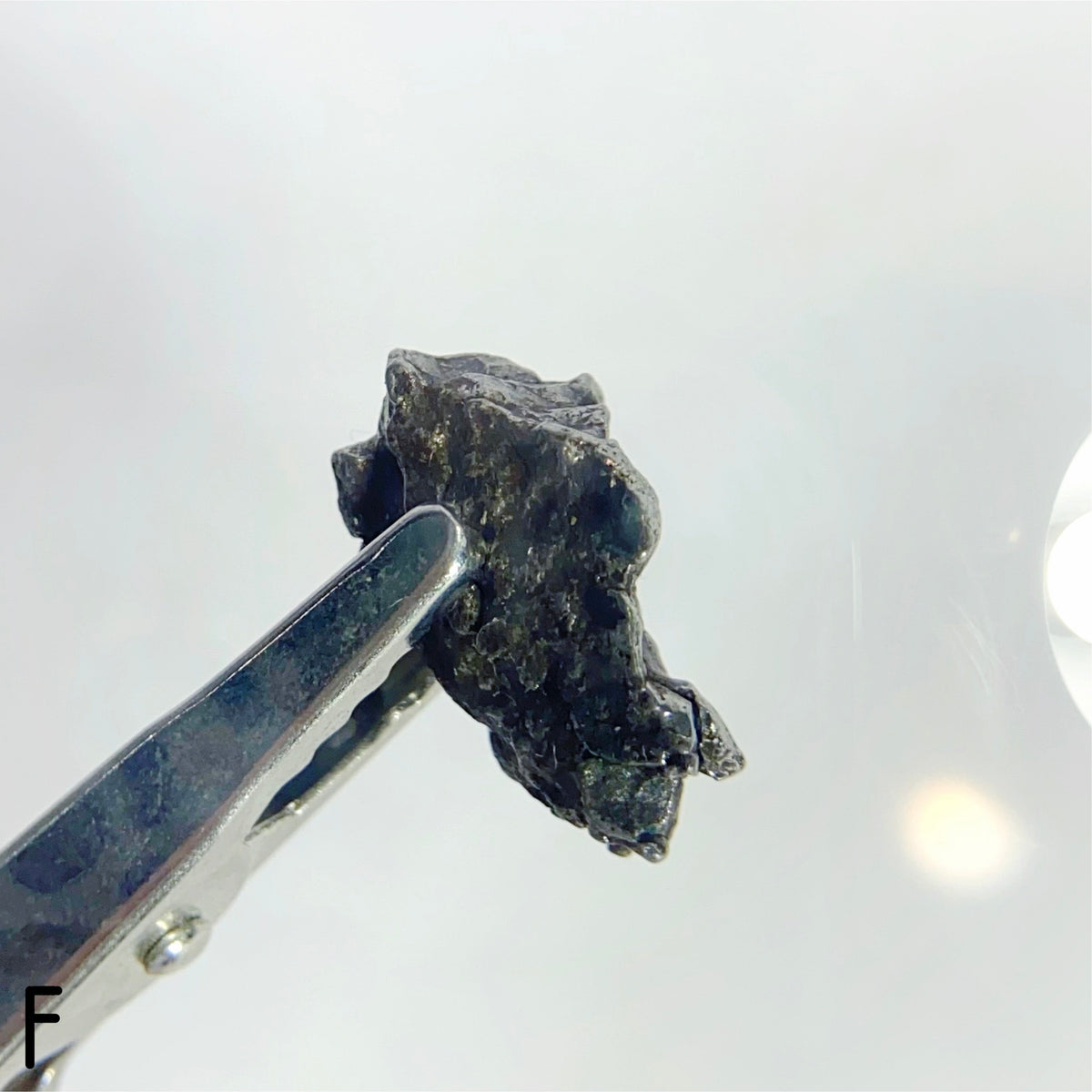 Campo Del Cielo Meteorites - Choose Your Own
