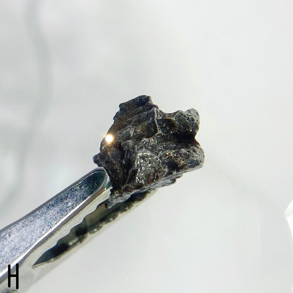 Campo Del Cielo Meteorites - Choose Your Own