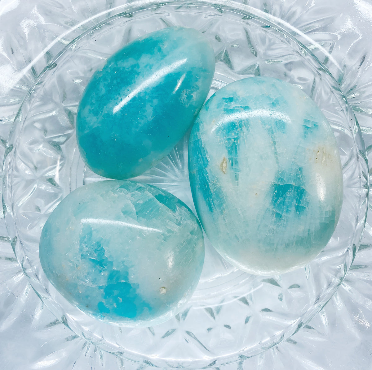 Caribbean Calcite Palm Stones