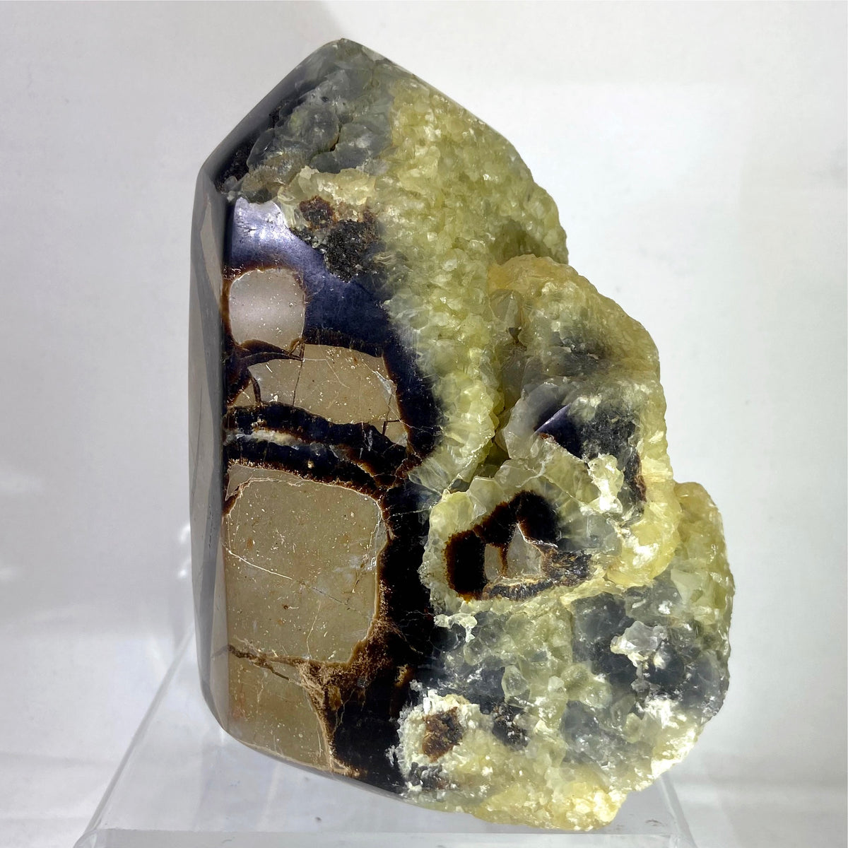 Polished Septarian Standing Display Piece