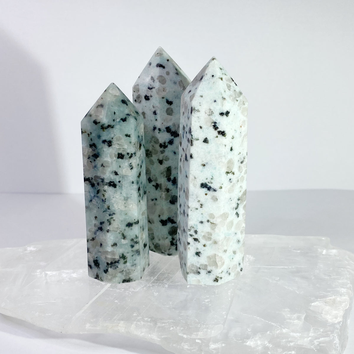 Kiwi Jasper Points