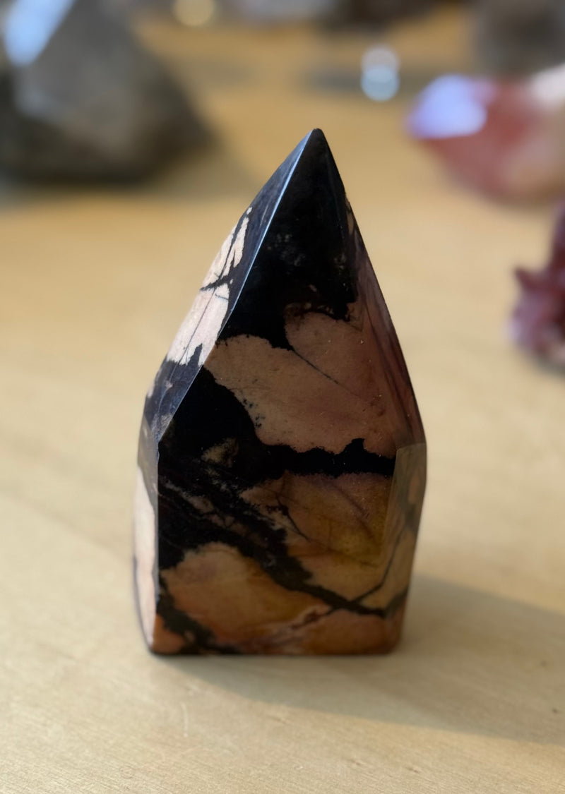 files/Nguni_Jasper_-_A.jpg