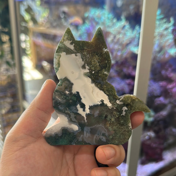 Moss Agate Cats