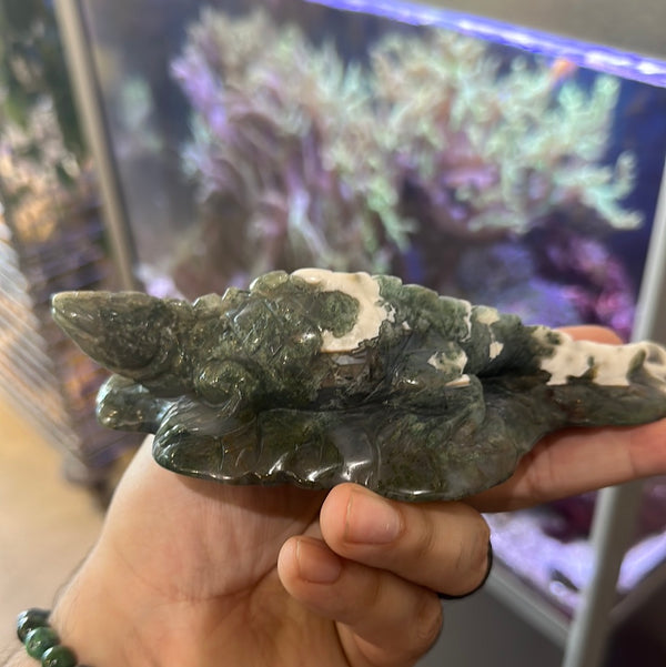Moss Agate Reptile