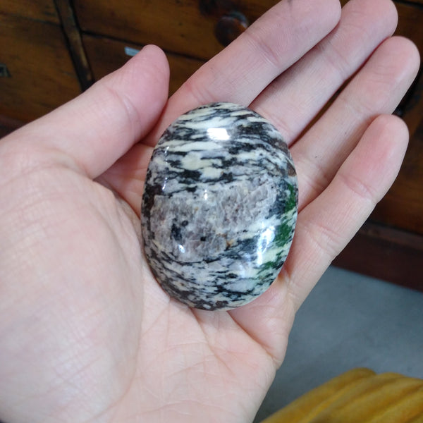 Zebra Jasper Palms