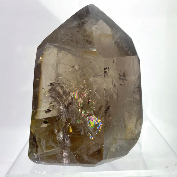 Polished Smoky Quartz Crystal Point from Madagascar