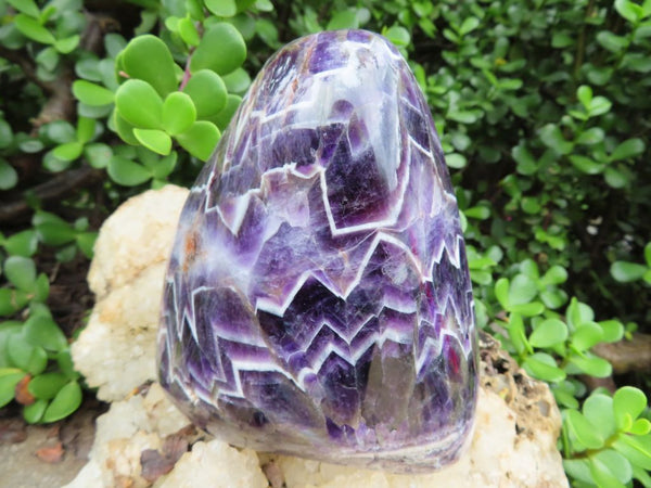 Polished Amethyst Quartz Crystal Freeform from Zambia