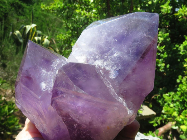 Polished Amethyst Quartz Crystal Cluster from Zambia