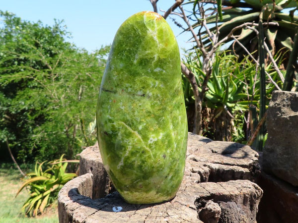 Polished Green Opal Freeform from Madagascar - Extra Large