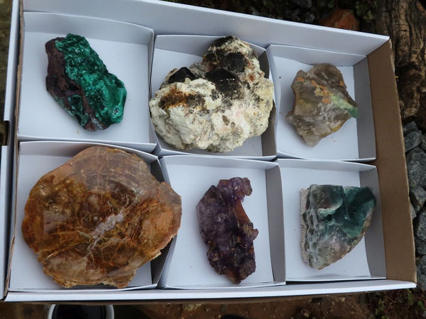 Mixed Specimens - Choose Your Own