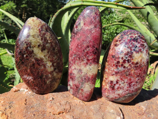 Polished Rare Garnet Standing Freeforms x 3 from Madagascar