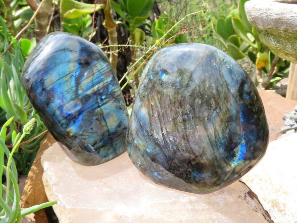 Polished Labradorite Freeforms x 2 from Madagascar - Extra Large