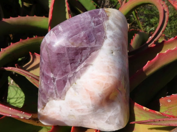 Polished Purple Anhydrite Freeform from Madagascar - Extra Large