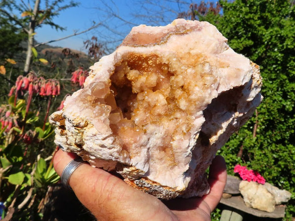 Natural Lemur Island Hematoid Amethyst Crystal Geode from Nosy Varika, Madagascar