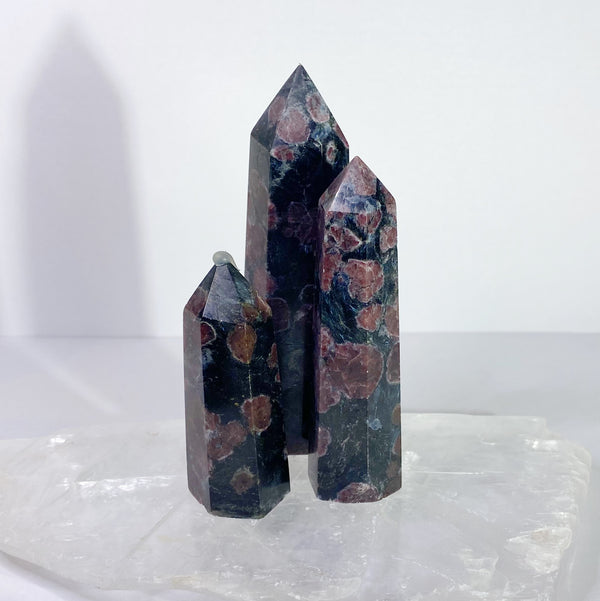 Astrophyllite with Garnet Points