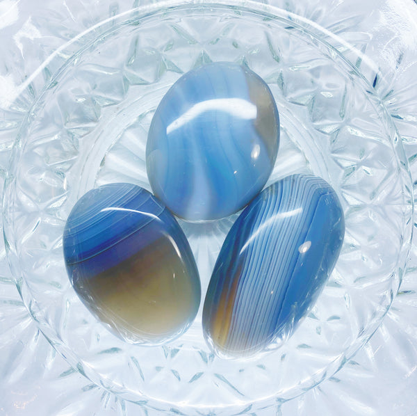 Agate Palm Stones